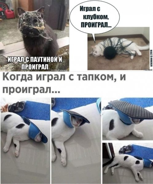 Image (1)
