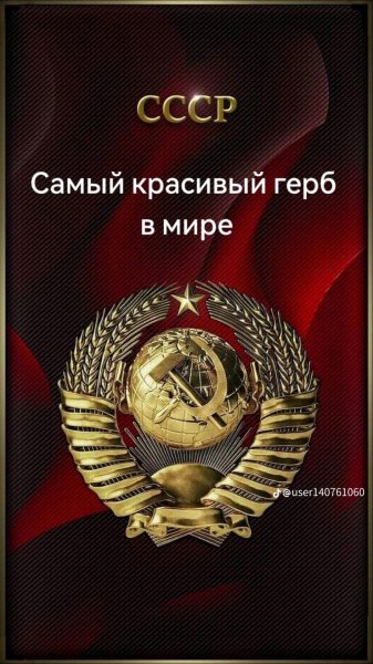 IMG 20240204 221951