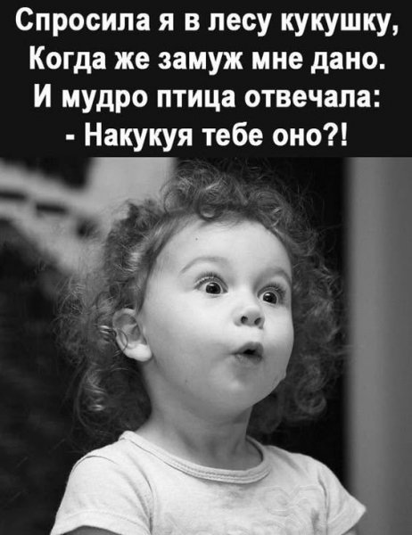 IMG 20241017 063715 391