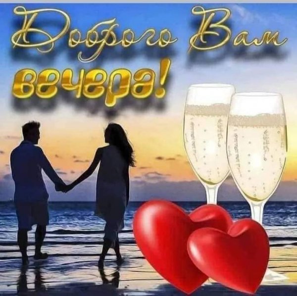 Img 8 1698345147016