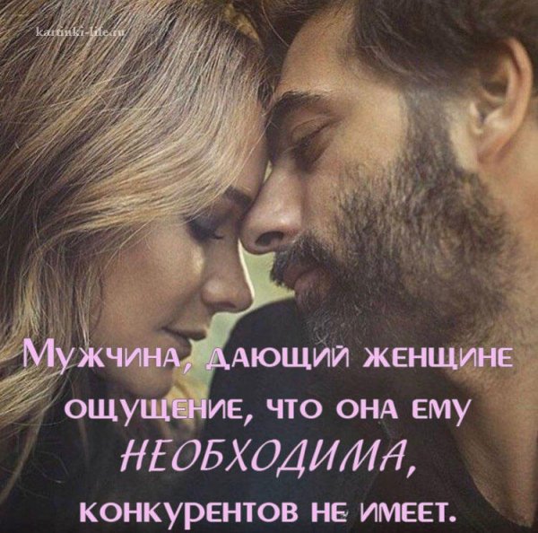 Картинка2