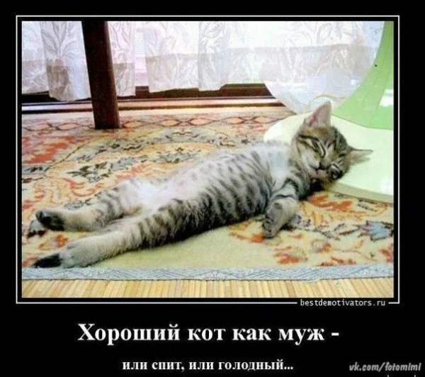 picture_388863393