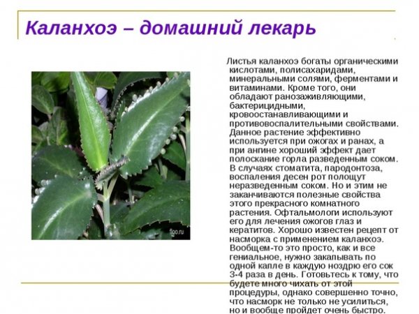 Домашний лекарь