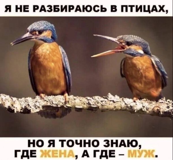 picture_392565753
