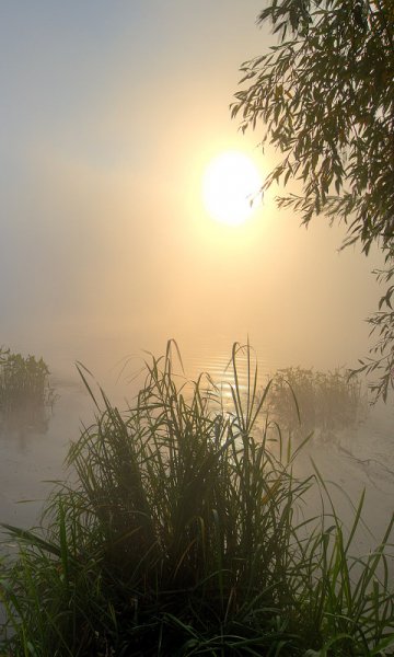 Природа