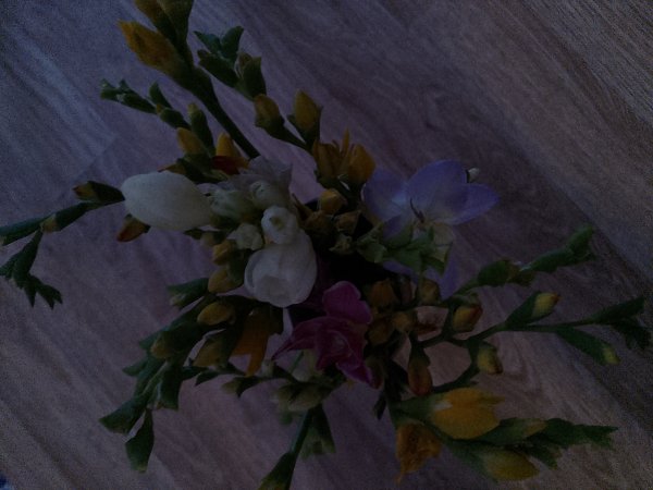IMG 20231107 135236
