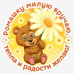 мишка