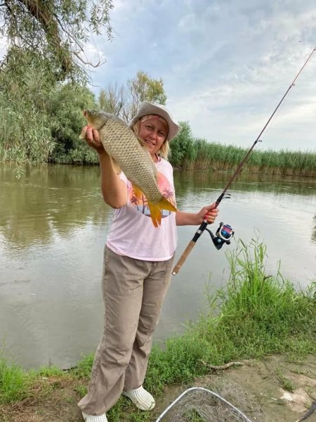 picture_313914123