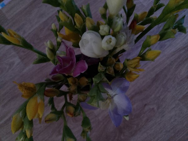 IMG 20231107 135200