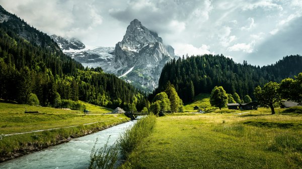 Розенлауи Швейцария