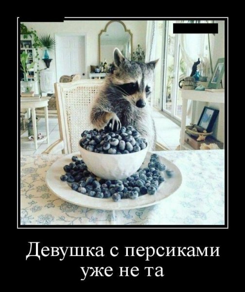 picture_373499100
