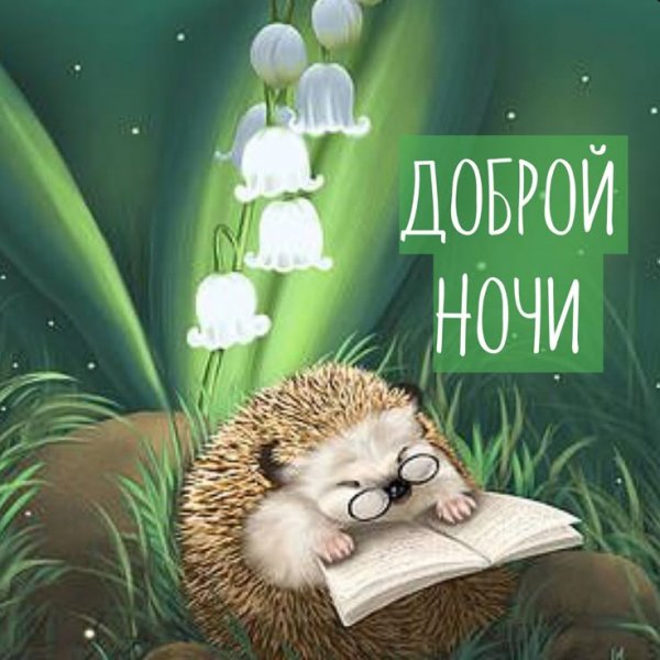 Fc955d378658ace2ff63c2d6b32655ff