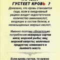 317bd565200e693b852a70e0182a3af8.jpg