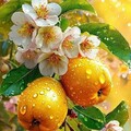 d351d34536b1194ca4abdbfaa07c349a.jpg