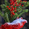 c640a89b15e6179d32d6b9f47f4e6f5d.jpg