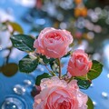 117872bf41b4a10ca18e75eacc5146a9.jpg
