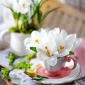 3371fe4dd991a8cc0d7e69965d0cb6c5.jpg