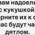 e63d80f0553c032434cf123429bb0b4d32eb073645979f52c9bcb8d7c4c2aa9a 1 jpg 1.jpg