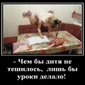 110fc0beb5fa75c1ac389a5401d98995.jpg