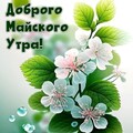 IMG-20250515-WA0001.jpg