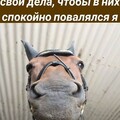 8b1895f957d31a96ad4bf620ce513b7e.jpg