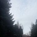 IMG 20250313 172346.jpg