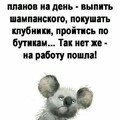 IMG-20250416-WA0288 1.jpg