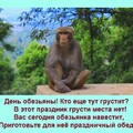 dce03022-d265-4488-942e-adc89c3cdf28.jpg
