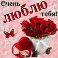i(255).jpg