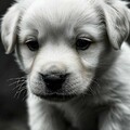 eb89034e804043e589f6d4fdf6fa18c4.jpg