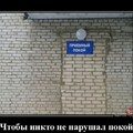 10bfb250-68ba-4997-8d08-61200dea617b.jpg