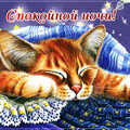 image (3).png