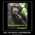 y c35422df.jpg