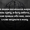 c922f6f9-585b-44cf-8520-dc282303697b.jpg