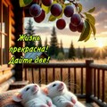 fdd654eaad065232c31633c1bcb9aa38.jpg