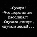 IMG-20241002-WA0061.jpg
