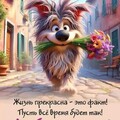 Доброе Утро.jpg