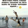 26ed1b5423cfe839476d19e86e4db54d.jpg