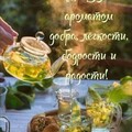 95830cc977d831da62d27231092add52.jpg