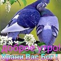 IMG-20230811-WA0001.jpg