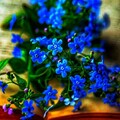 ad59b167d29e741ebc5c1c4c35eac370.jpg