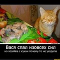 E7E7DD79-62BF-4189-B830-46F591CDDA4C.jpg