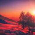 beautiful-red-tone-sunrise-snow-trees-ak-3840x2400.jpg