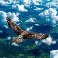 54ff9f0a569fd46a63153333e1fd8cb8.jpg