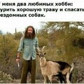 IMG 20220620 002328.jpg