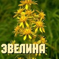 c86effcc936ac77ad9c5553819af25b5.jpg