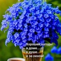 Доброе Утро.jpg