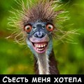 60436ccffd6ac0e546b2186c7401615a.jpg