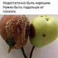 d4ce7845-59a7-4d39-a6cf-ef57a97e99c5.jpg