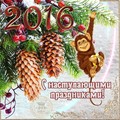 IMG-20151217-31.jpg